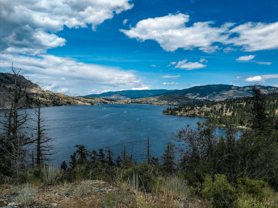 Lakeside Living in the Summertime