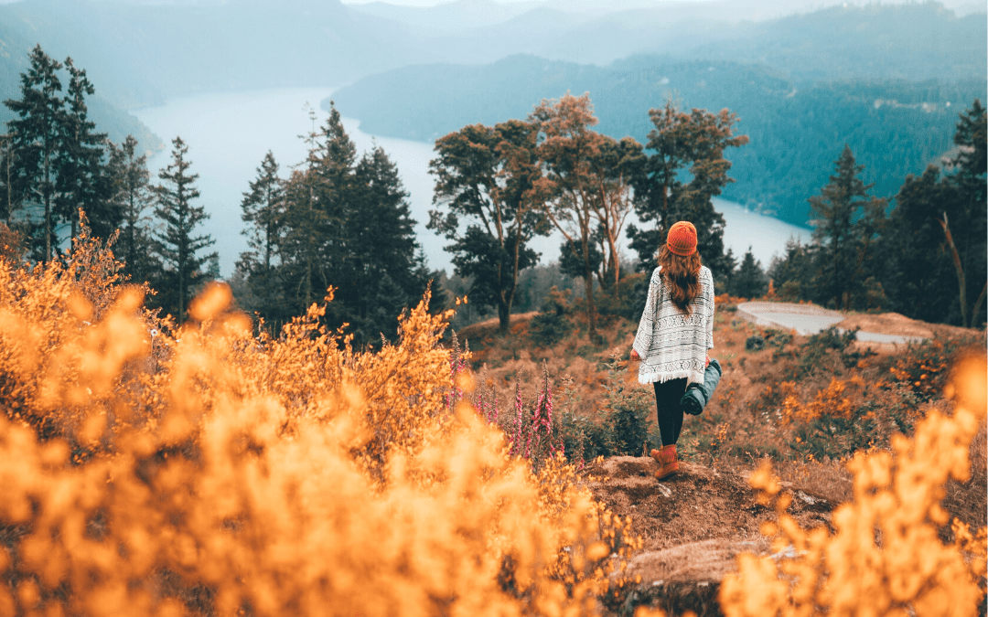 Fall In The Okanagan