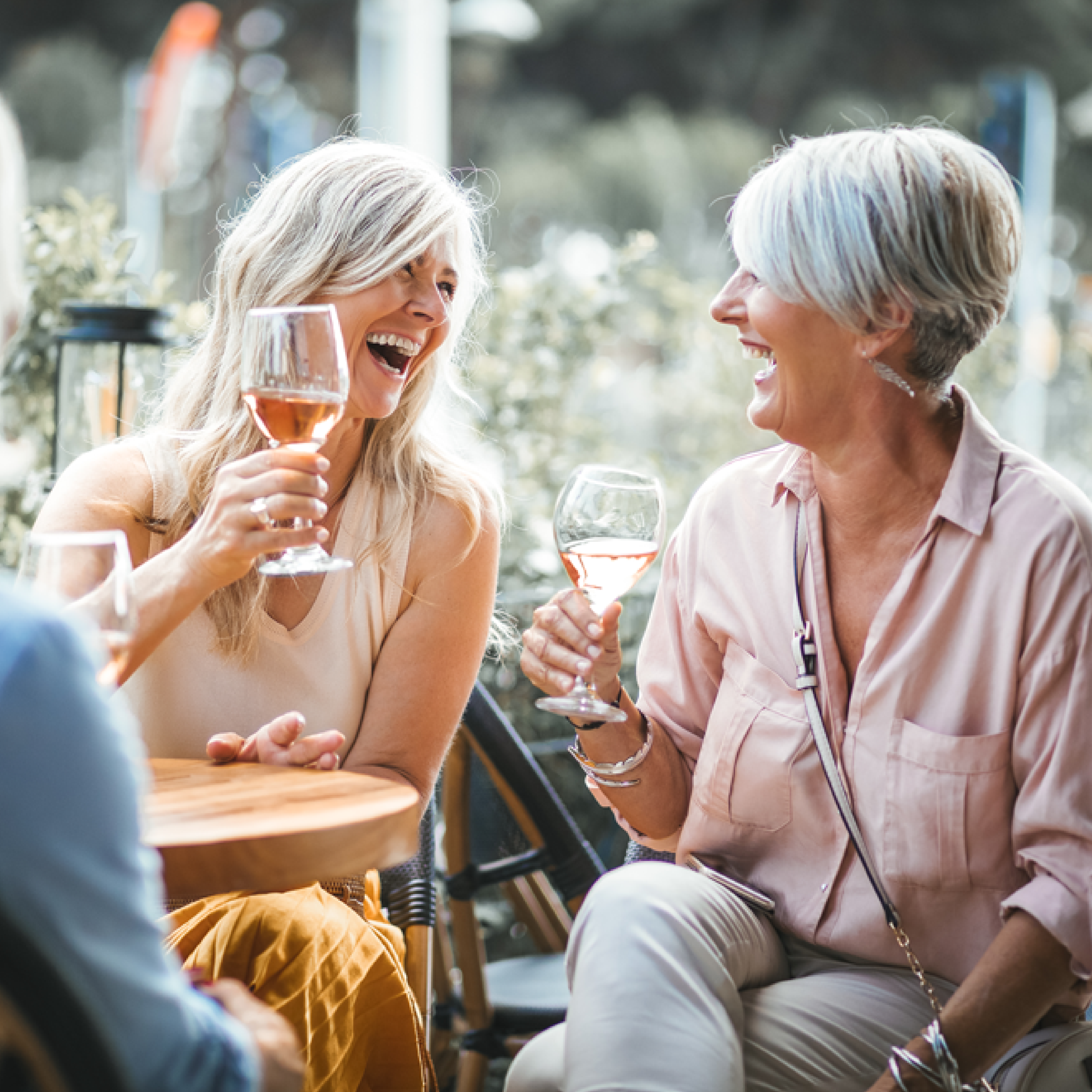 Friends drinking wine